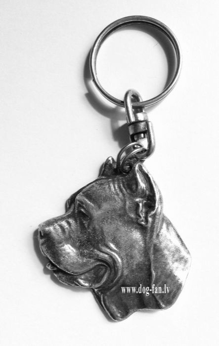 Cane-corso_3 copy